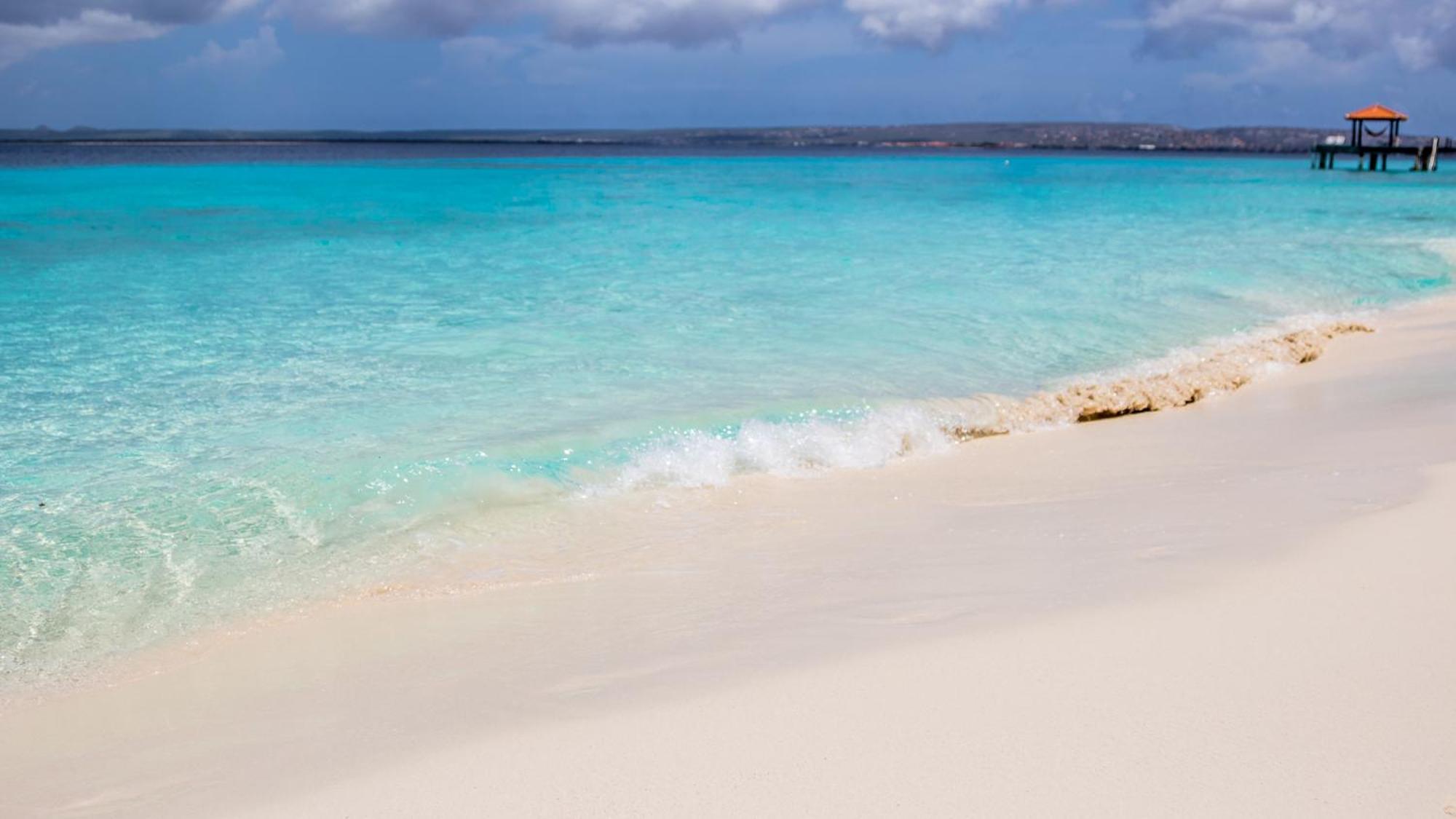 Isla Penthouse & Garden Apartments Bonaire Kralendijk  Bagian luar foto