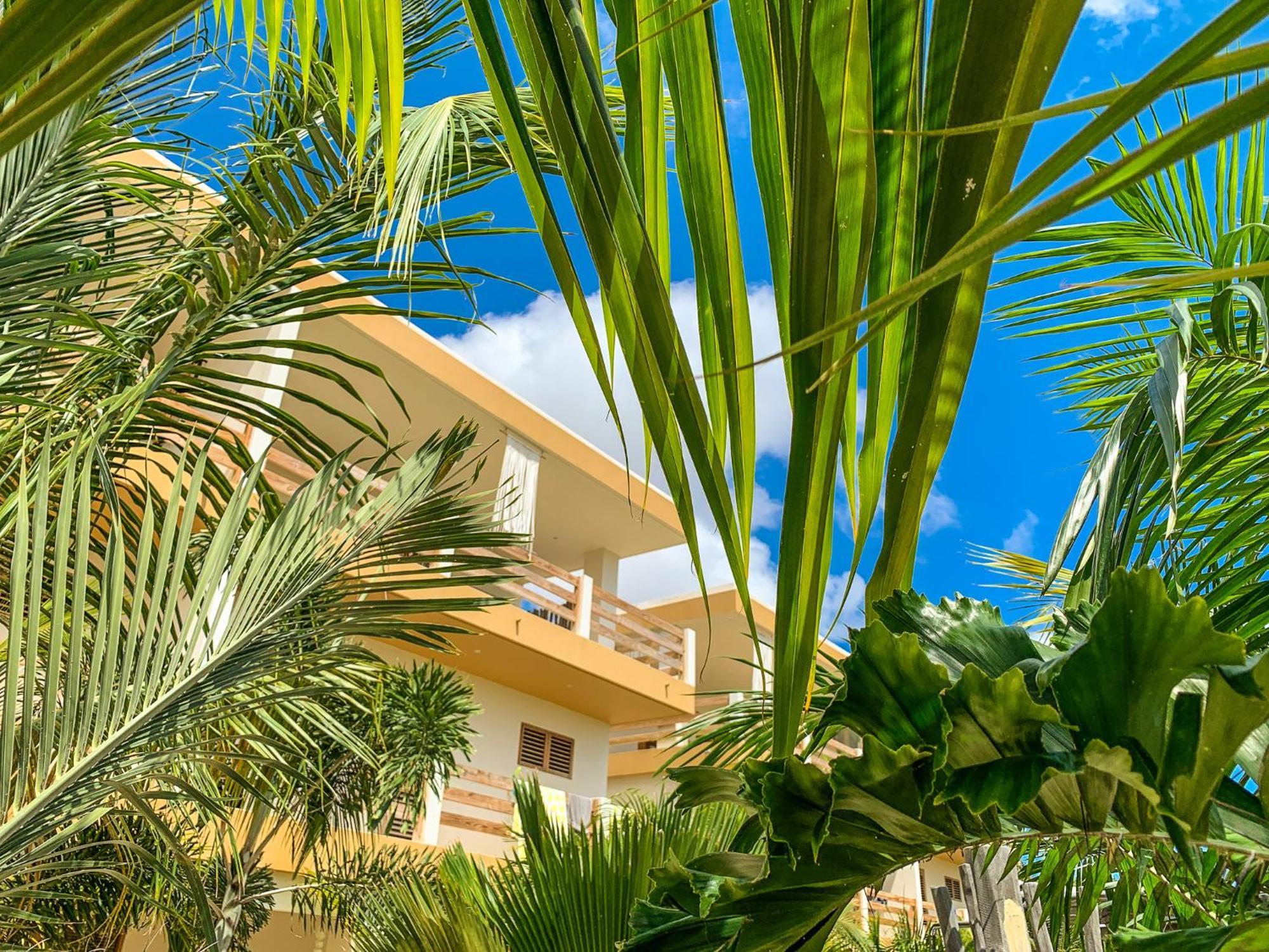 Isla Penthouse & Garden Apartments Bonaire Kralendijk  Bagian luar foto