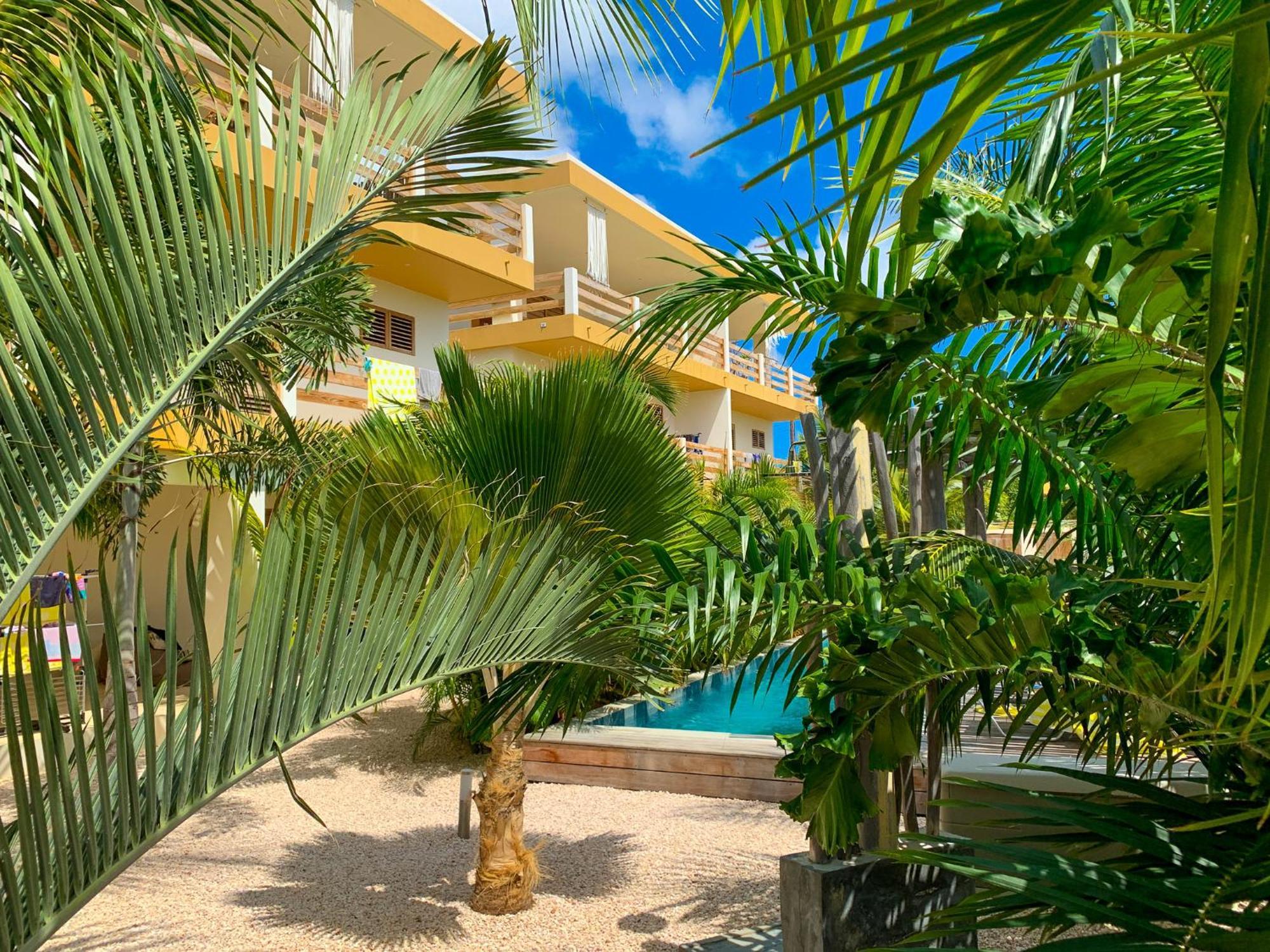 Isla Penthouse & Garden Apartments Bonaire Kralendijk  Bagian luar foto