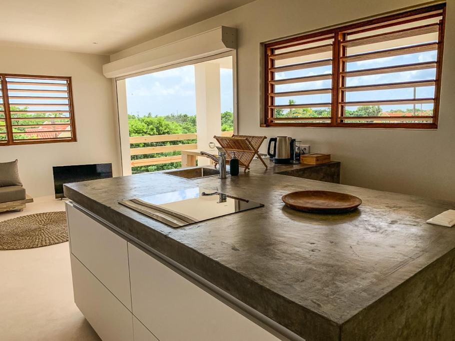 Isla Penthouse & Garden Apartments Bonaire Kralendijk  Bagian luar foto